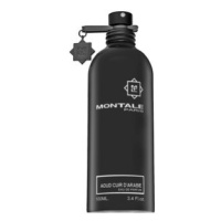 Montale Aoud Cuir d’Arabie parfémovaná voda pro muže 100 ml