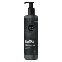 ORGANIC SHOP Šampon pro všechny typy vlasů Blackwood a máta 280 ml