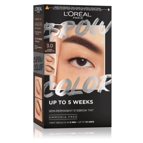 L’Oréal Paris Brow Color barva na obočí odstín 3.0 Dark Brunette 1 ks