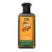 Xpel Hair Care Ginger Anti-Dandruff Shampoo posilující šampon proti lupům 400 ml