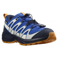 Salomon XA Pro V8 CSWP J 413448