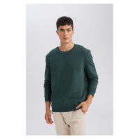 DEFACTO Regular Fit Crew Neck Thick Basic Plain Sweatshirt