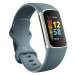 Fitbit Charge 5 Steel Blue/Platinum Stainless Steel