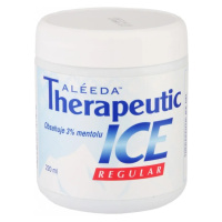 Therapeutic Ice Gel 220 ml