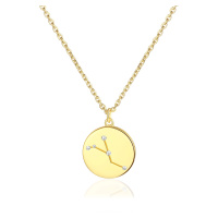 Olivie Stříbrný náhrdelník RAK GOLD 8016