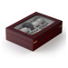 Rothenschild RS-1087-10C box na hodinky a šperky