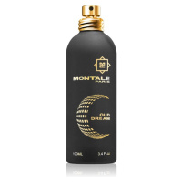 Montale Oud Dream parfémovaná voda unisex 100 ml