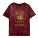 Harry Potter - Nebelvírské souhvězdí - tričko