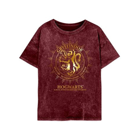 Harry Potter - Nebelvírské souhvězdí - tričko Local Heroes