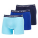 Polo Ralph Lauren 3-Pack Brief M boxerky 714830300023