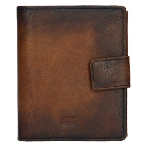 Pánská kožená peněženka Daag P11 - hnědá