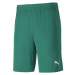 Puma TEAM FINAL 21 KNIT SHORTS Pánské kraťasy, zelená, velikost