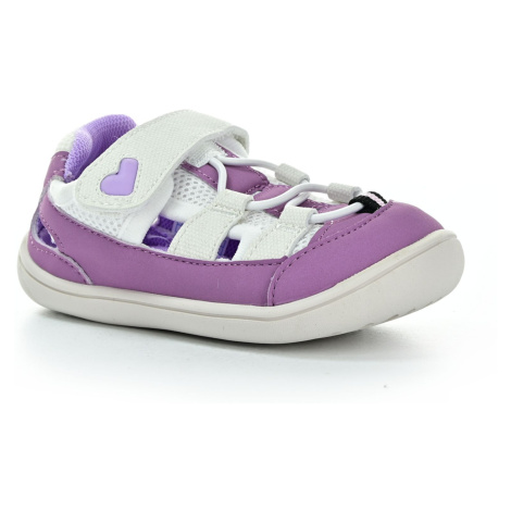 Little Blue Lamb LBL Ledo Purple BB20261-PL