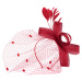 Art Of Polo Woman's Fascinator cz22171