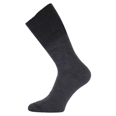 Ponožky Lasting WRM