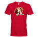 Pánské tričko Bretaňský ohař - tričko pro milovníky psů