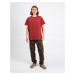 Patagonia Fitz Roy Icon Responsibili-Tee Mangrove Red