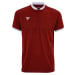 Pánské tričko Tecnifibre Club Polo Cardinal