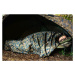 Fox Přehoz na spacák VRS1 Camo Sleeping Bag Cover