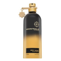 Montale Spicy Aoud parfémovaná voda unisex 100 ml