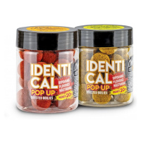 Chytil plovoucí boilies identical pop up 20 mm 100 g - apač indian spice