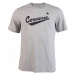 Converse CENTER FRONT LOGO TEE Pánské triko, šedá, veľkosť