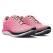 UNDER ARMOUR-UA W FLOW Velociti Wind 2 prime pink/pink punk/pink punk Růžová