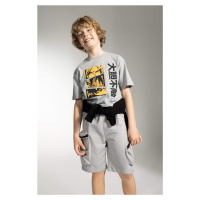 DEFACTO Boy Regular Fit Sweatshirt Fabric Shorts