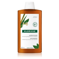 Klorane Galanga hydratační šampon proti lupům 400 ml