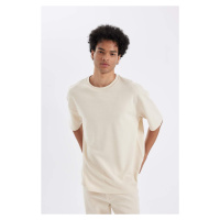 DEFACTO Oversize Fit Crew Neck Short Sleeve Heavy Fabric Basic T-Shirt