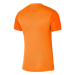 Pánské tréninkové tričko Dri-FIT Trophy 5 M DR0933-819 - Nike