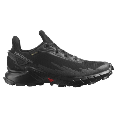 Salomon Alphacross 4 GTX W 41 1/3 EUR