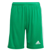 Adidas JR Squadra 21 Zelená