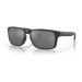 Oakley Holbrook Matte Black