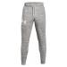 Kalhoty Under Armour Rival Terry Joggers Bílá / Šedá