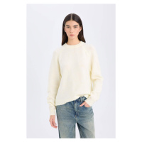 DEFACTO Regular Fit Crew Neck Basic Plain Knitwear Sweater