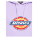 Dickies DK0A4XCCE611 Fialová