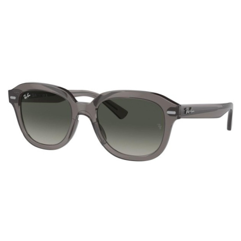 Ray-Ban Erik RB4398 667571 - L (53)