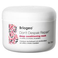 BRIOGEO - Don't Despair Deep Conditioning Mask - Maska na vlasy