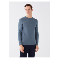 LC Waikiki Crew Neck Long Sleeve Men's Knitwear Sweater