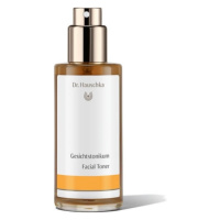 Dr. Hauschka Pleťové tonikum (Facial Toner) 100 ml