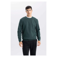 DEFACTO Men's Green Regular Fit Crew Neck Jacquard Sweatshirt