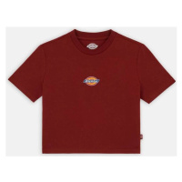 Dickies MAPLE VALLEY TEE Červená