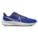 Nike Air Zoom Pegasus 39