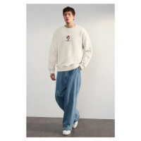 Trendyol Stone Oversize/Wide Cut Crew Neck Textured Embroidery Detailed Sweatshirt