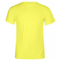 Pánské funkční tričko s UV ochranou