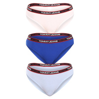 3PACK dámské kalhotky Tommy Hilfiger vícebarevné (UW0UW04710 0SQ)