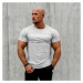 Pánské fitness tričko Iron Aesthetics Unbroken, šedé