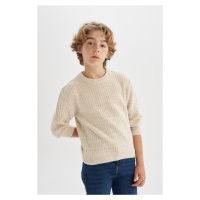 DEFACTO Boy's Beige Crew Neck Basic Plain Knitwear Sweater