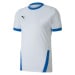 Puma teamGOAL 23 Jersey M 704171